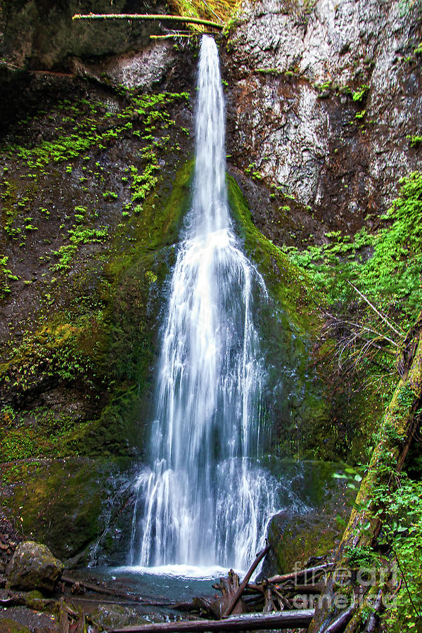 Marymere Falls Photograph by Kirt Tisdale