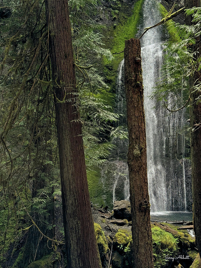 Marymere Falls - Olympic National Park Photograph by Jerry Abbott Marymere Falls - Olympic National Park Photograph by Jerry Abbott