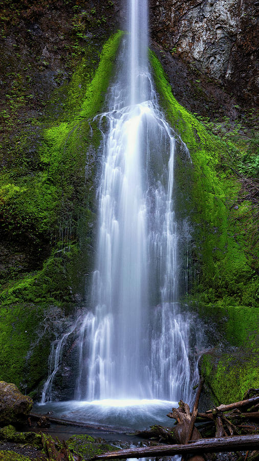 Marymere Falls - Olympic National Park Photograph by Stephen Stookey