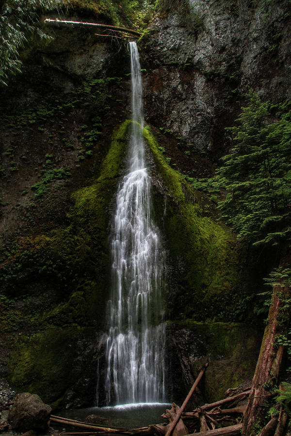 Olympic National Park Photograph - Marymere Falls Washington by Dan Sproul