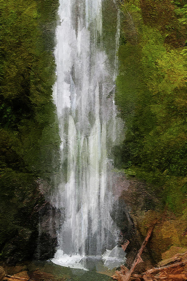 Olympic National Park Painting - Marymere Falls Washington Painting by Dan Sproul