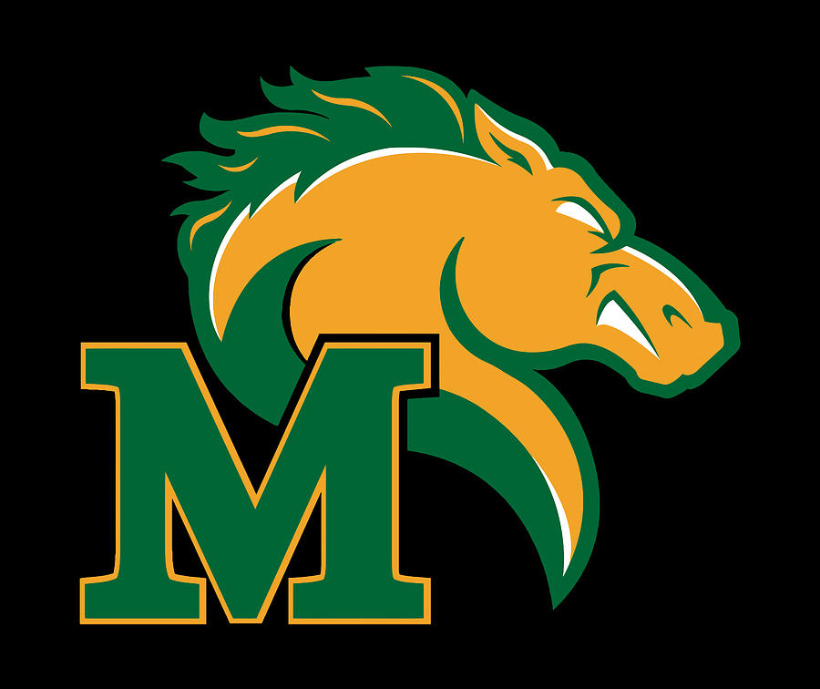 Marywood University pacers Digital Art by Toni Shark - Fine Art America