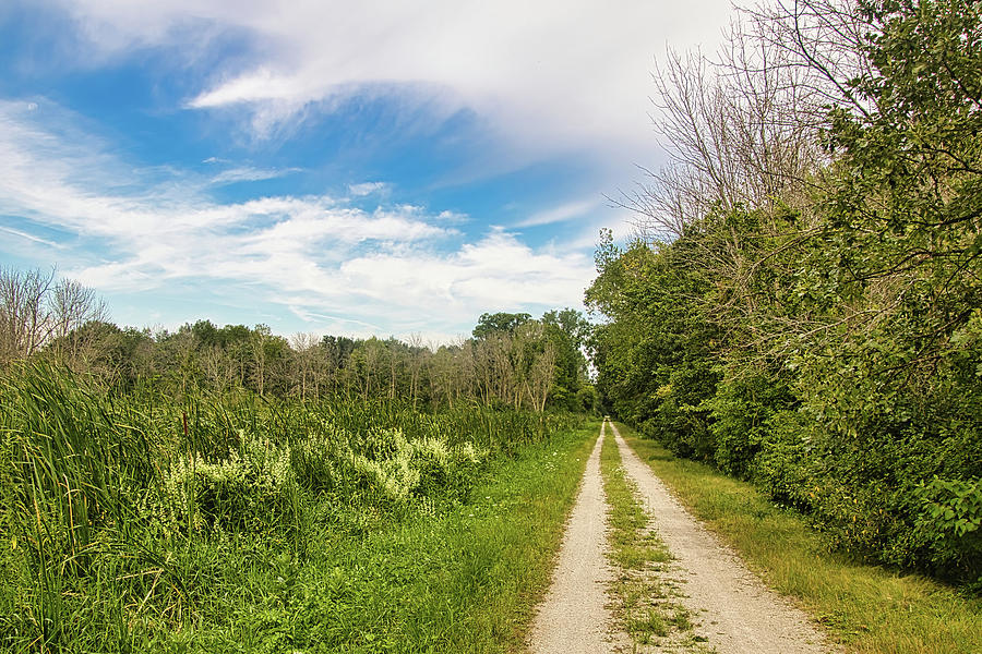 Mascoutin Valley Trail Summer Scene Photograph by Dave Jonasen - Fine ...