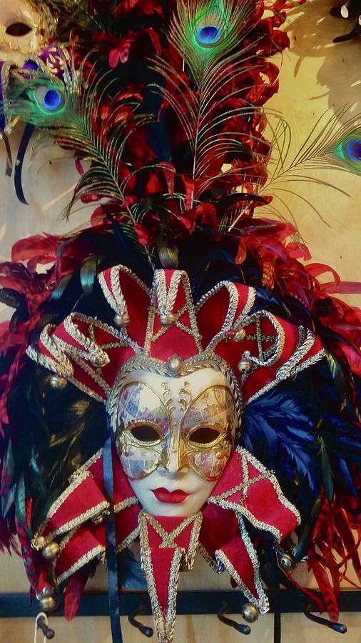 Mask-arade Photograph by Alida M Haslett