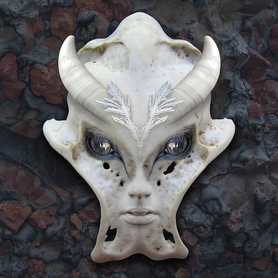 Mask Digital Art by David Walters Fine Art America