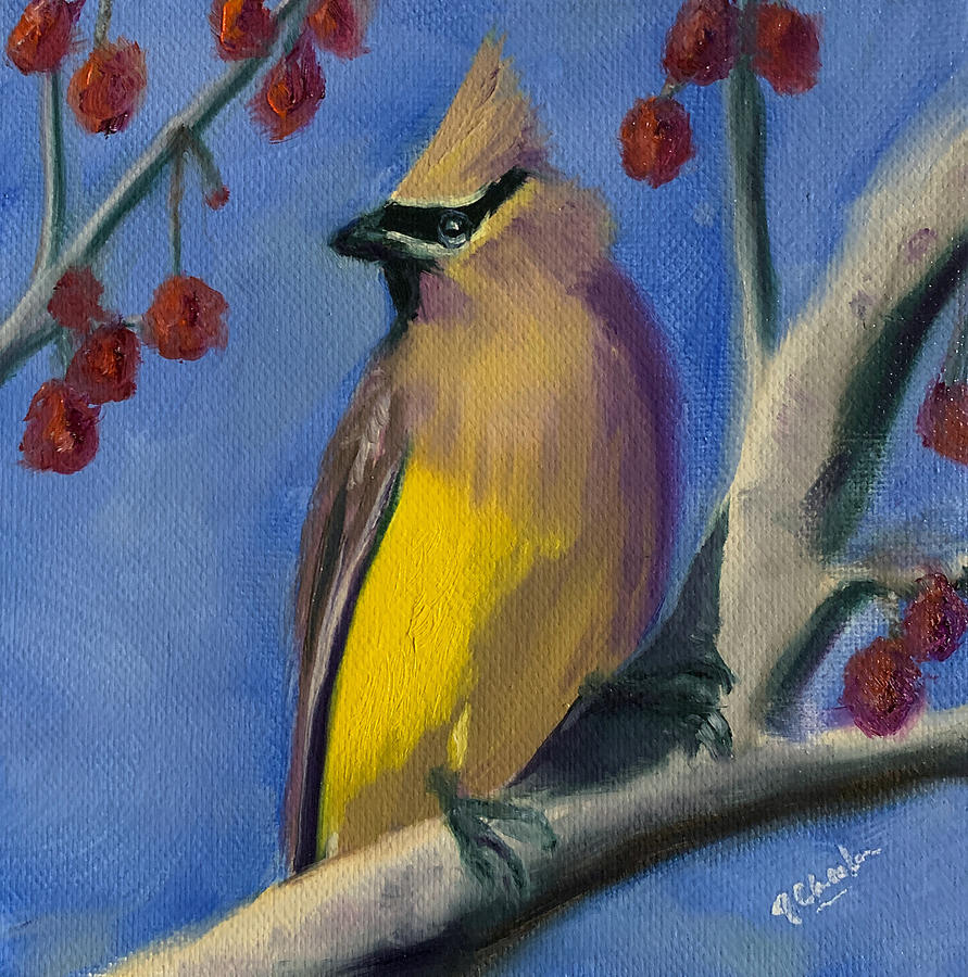 Masked Bandit, Cedar Waxwing Painting by Jan Chesler