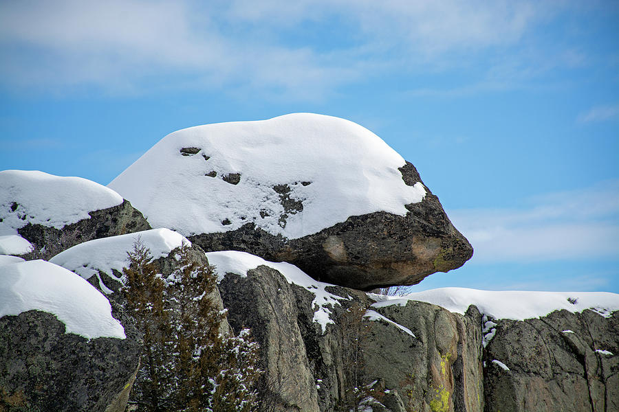 Masked Boulder Winter in Yellowstone Photograph by Bruce Gourley