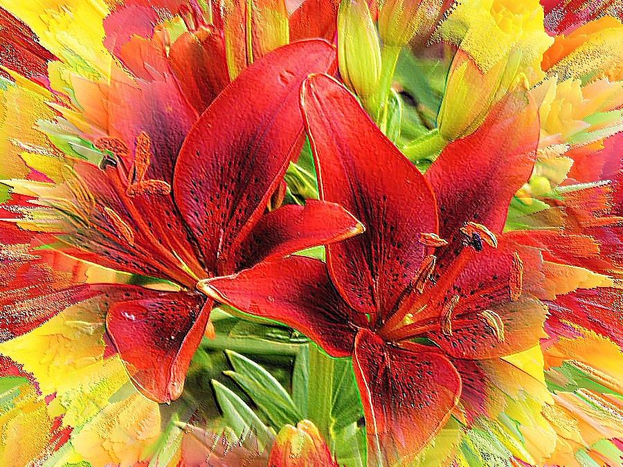 Masked Lilies Digital Art by Beverly Read