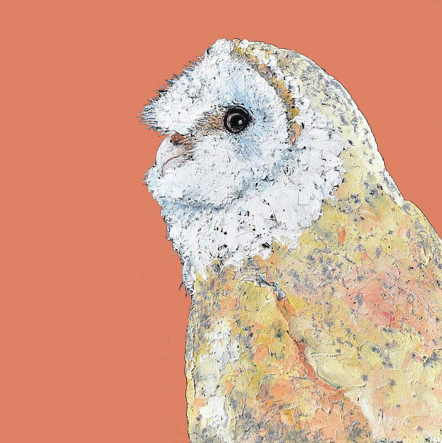 Masked owl on burnt orange background Painting by Jan Matson Masked owl on burnt orange background Painting by Jan Matson