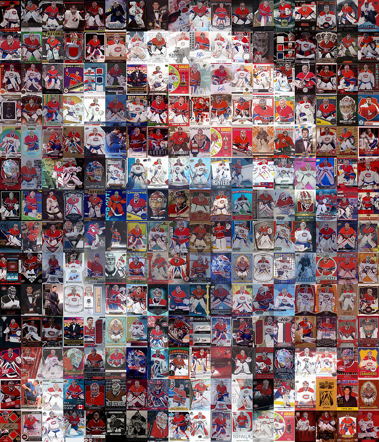 Masked Price Mixed Media by Hockey Mosaics