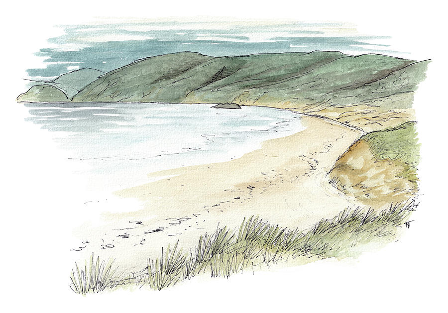Beach Painting - Mason Bay - Stewart Island by Tom Napper