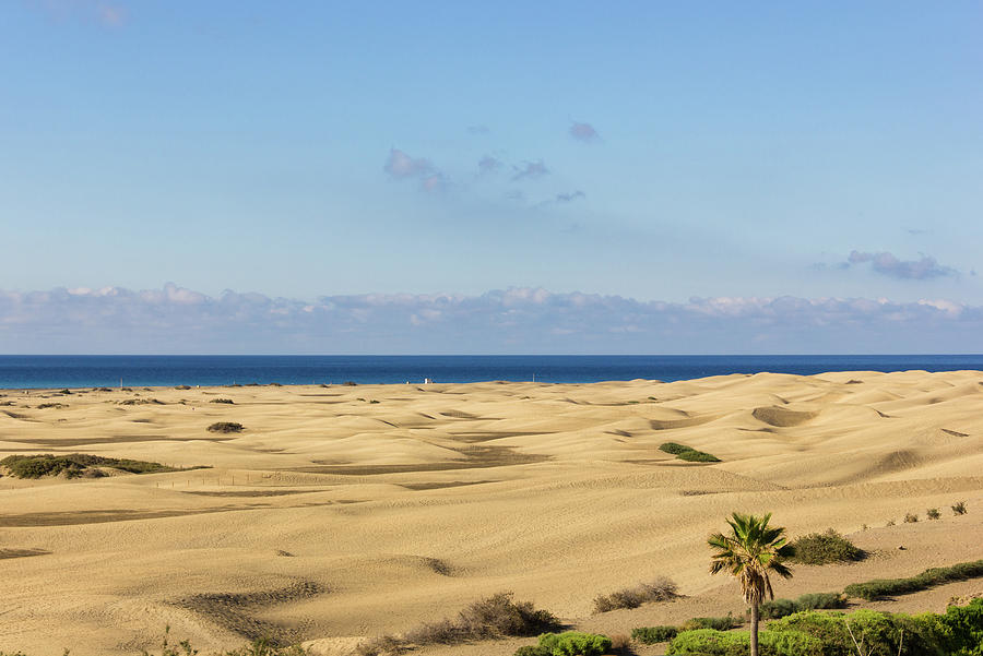 Maspalomas Sand Dunes Photograph by Josu Ozkaritz