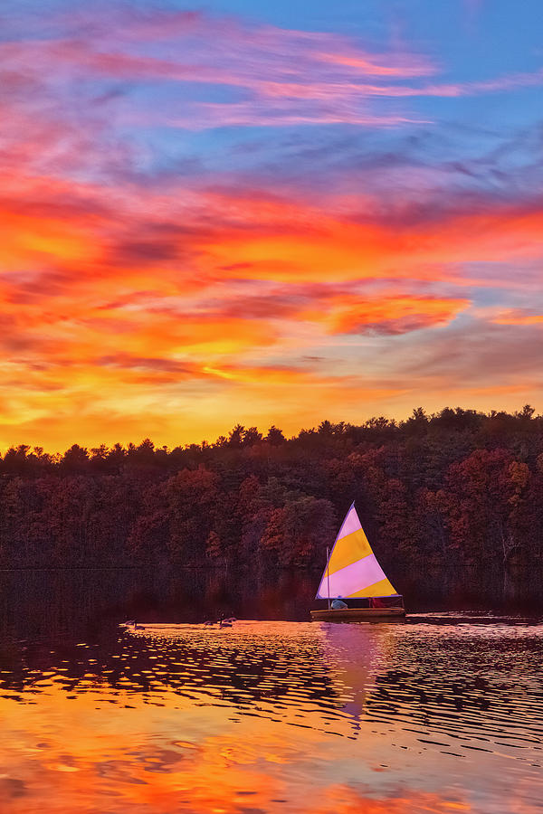 Massachusetts Lake Cochituate State Park Photograph by Juergen Roth