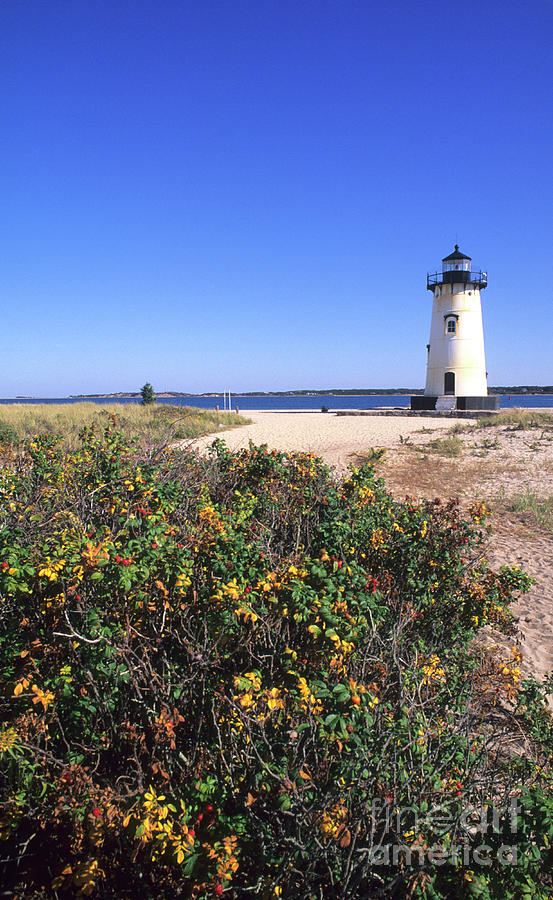 Massachusetts, Marthas Vineyard Edgartown Lighthouse Photograph by American School