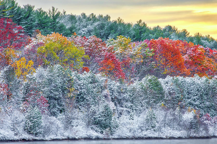 Massachusetts Snow Foliage at the Wachusett Reservoir Photograph by Juergen Roth