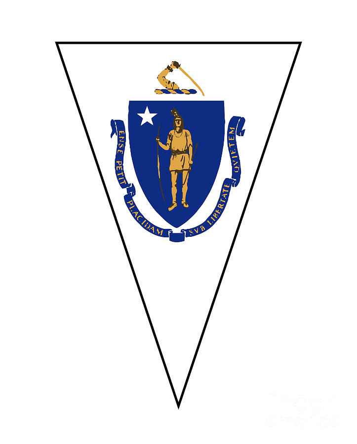 Massachusetts State Flag As Bunting Triangle Digital Art By Bigalbaloo 