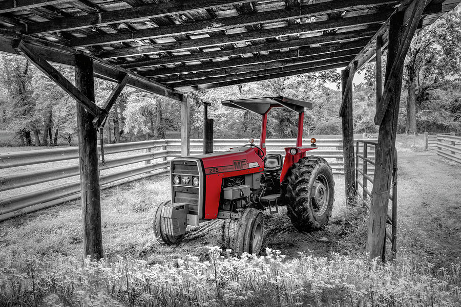 Massey Ferguson Tractor at the Farm in Black White and Red Photograph by Debra and Dave Vanderlaan