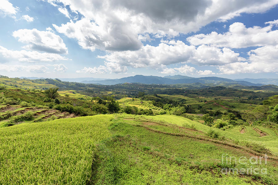 Massive Valley of Rice Terraces Photograph by Danaan Andrew - Fine Art ...