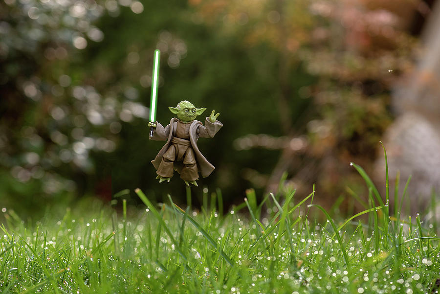 Master Yoda Using The Force Photograph by Matt McDonald
