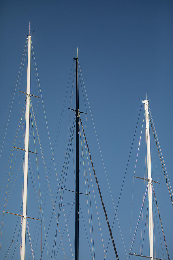 Masts on Blue Photograph by Denise Kopko