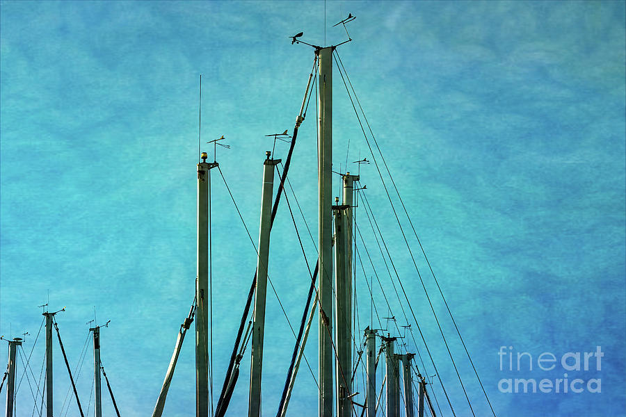 Masts with Blue Background Photograph by Roslyn Wilkins