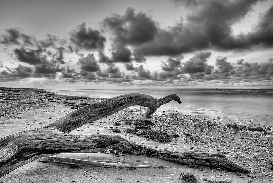 Matagorda Sunrise Black and White Photograph by JC Findley