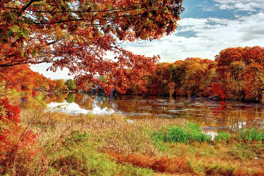 Matawan Lake foliage Photograph by Geraldine Scull - Fine Art America