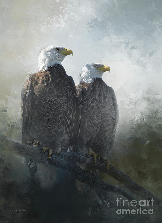 Eagle Mixed Media - Mated Pair by Marvin Spates