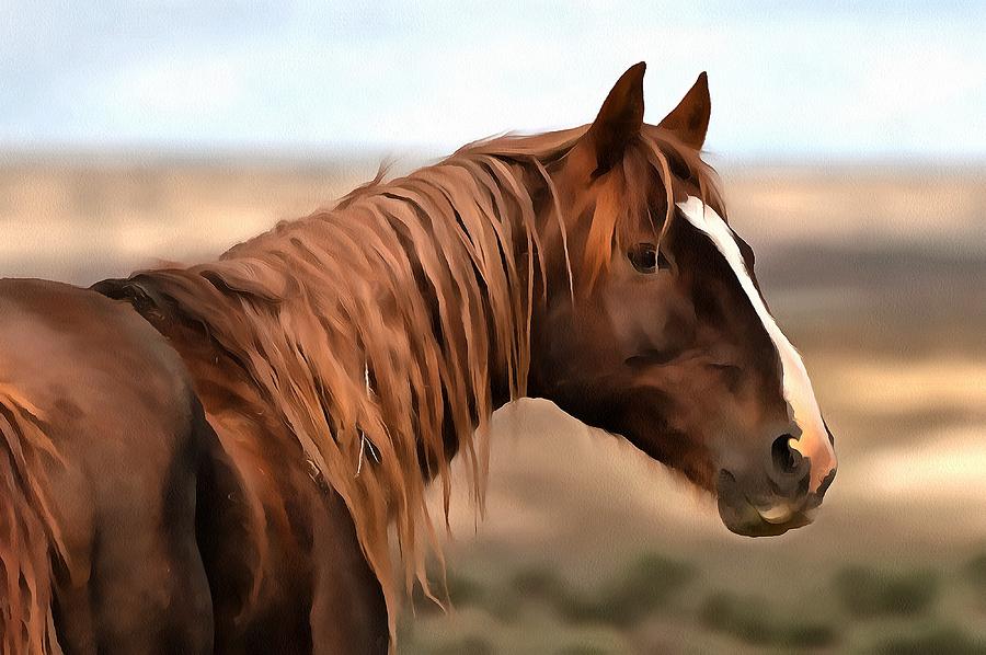 Mateo, the Stallion by Fine Art Western Paintings Mateo, the Stallion by Fine Art Western Paintings