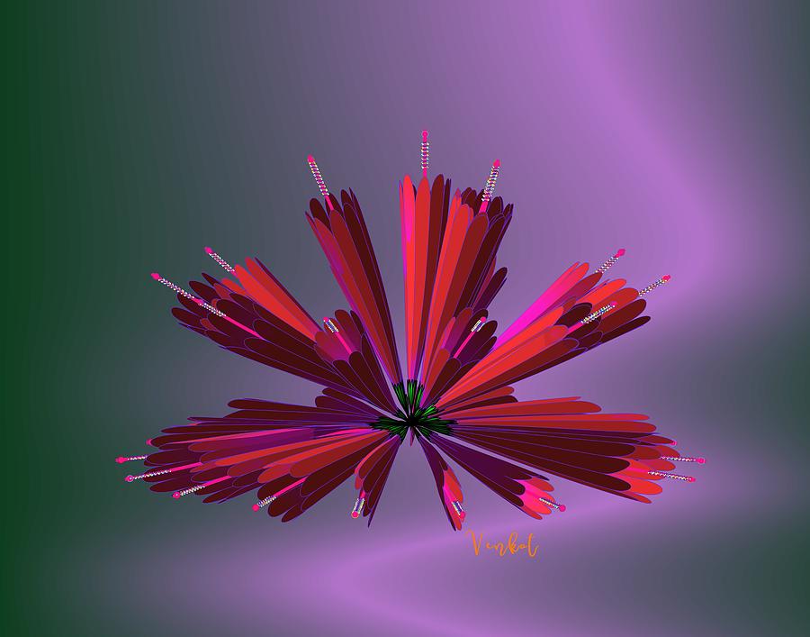 Math Flower 7 Digital Art by P Venkataraman - Fine Art America