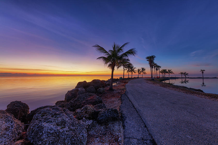 Matheson Hammock Park at Dawn Photograph by Claudia Domenig - Fine Art ...