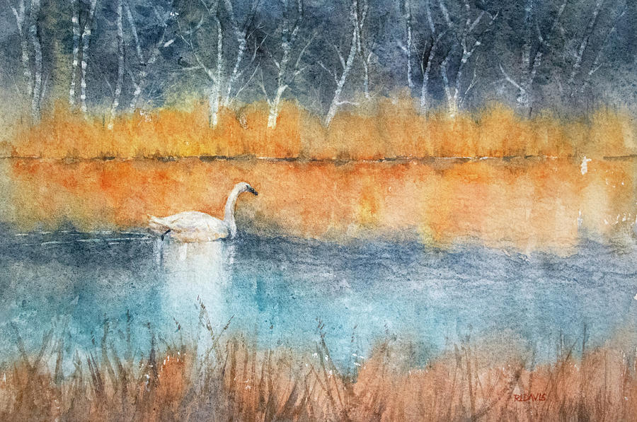 Mattamuskeet Snow Goose Painting by Rebecca Davis