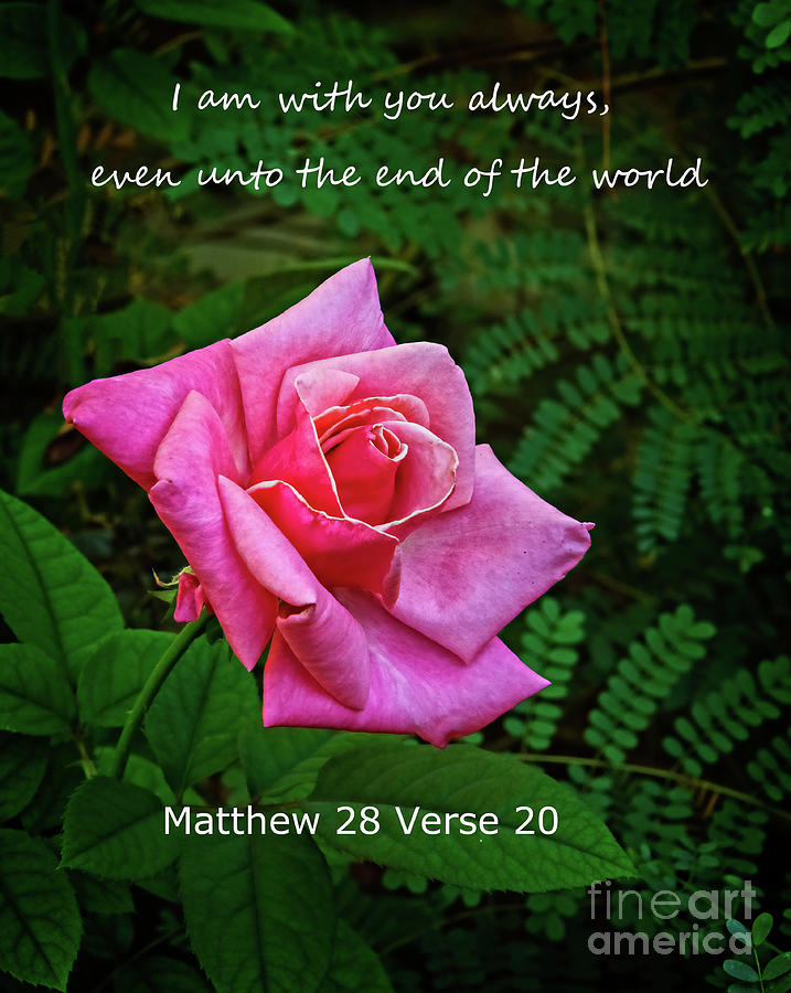 Matthew 28 Verse 20 Photograph by Robert Bales