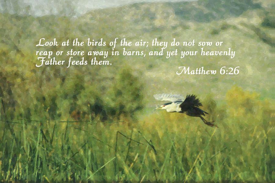 Matthew 6-26 Photograph by Robert Harris