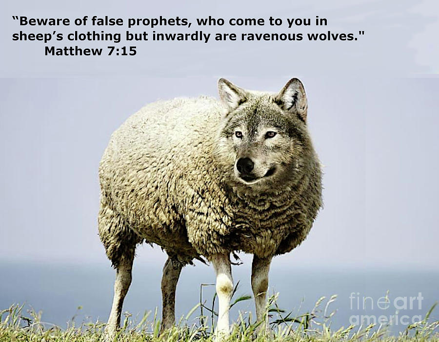 Matthew 7-15 - Wolf In Sheeps Clothing Mixed Media