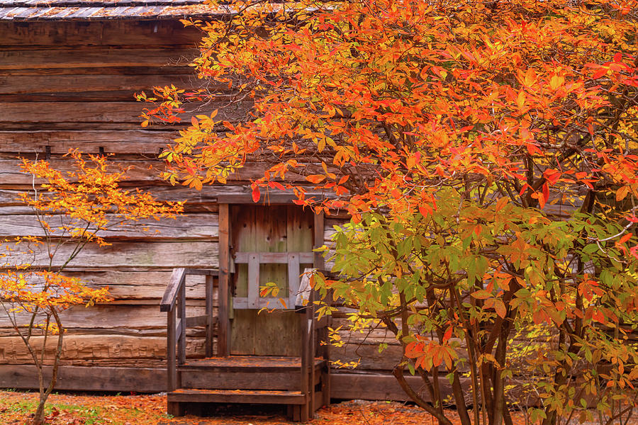 Matthews Cabin and Fall Colors Photograph by Marc Crumpler