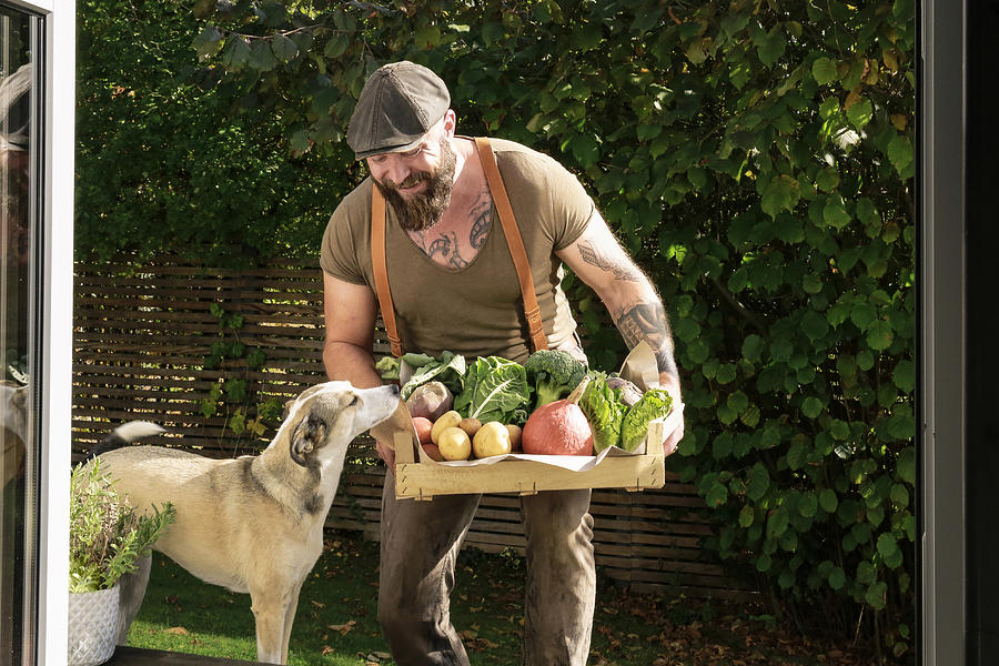 Mature man carrying crate with vegetables in his garden Photograph by Westend61