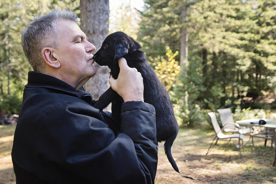 Mature man holding purebred flat-coated retriever puppy. Photograph by Martinedoucet