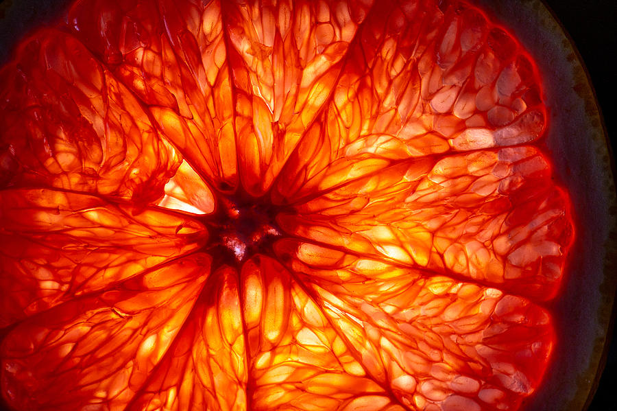 Mature orange fruit slice back lit Photograph by Stefan Cristian Cioata