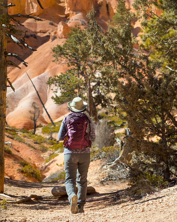Mature woman hiking Bryce Canyon National Park Queens Garden trail. Photograph by Nycshooter