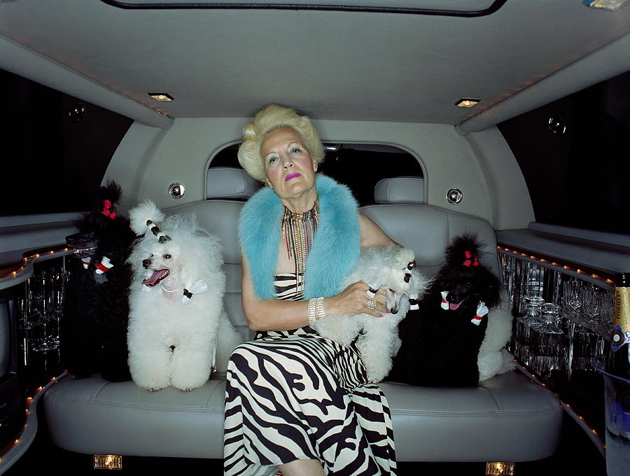 Mature Woman In Back Of Car With Poodles, Portrait Photograph by Britt Erlanson