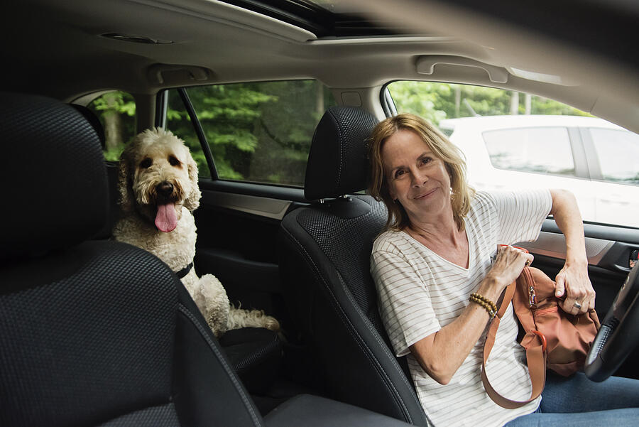 Mature woman in car with her dog. Photograph by Martinedoucet