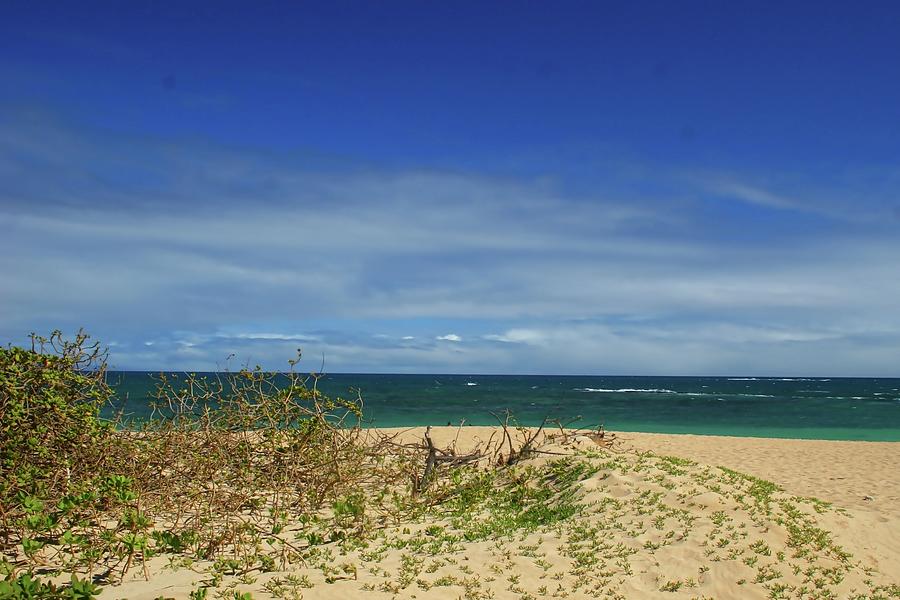 Maui Beach Day Photograph by Vernon Platt - Fine Art America