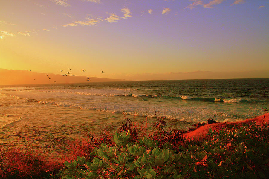 Maui Beach Surf Sunset Photograph