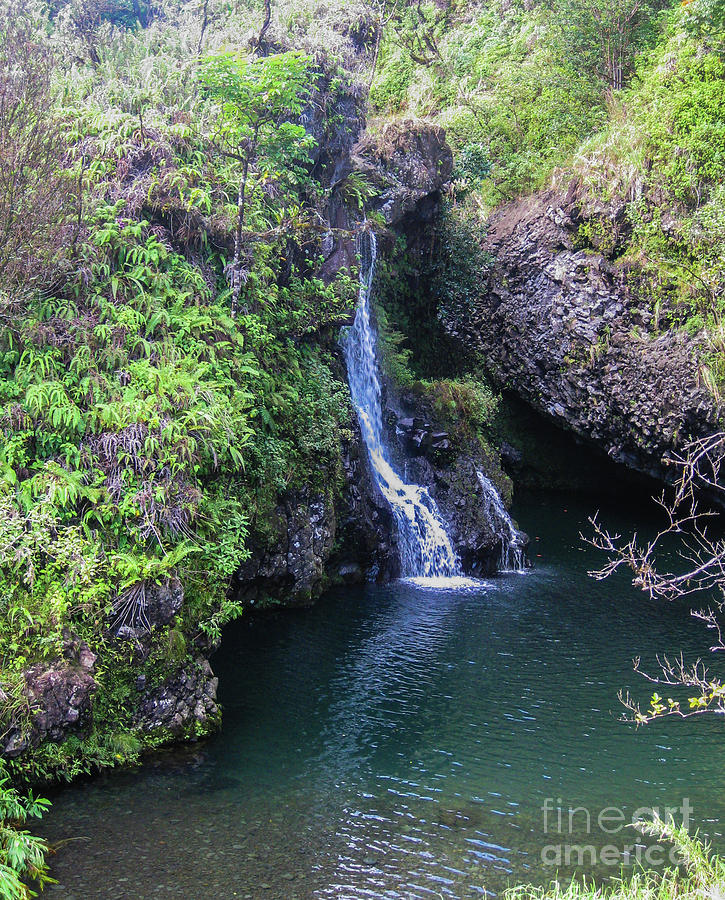 Maui Falls Photograph by Suzanne Luft