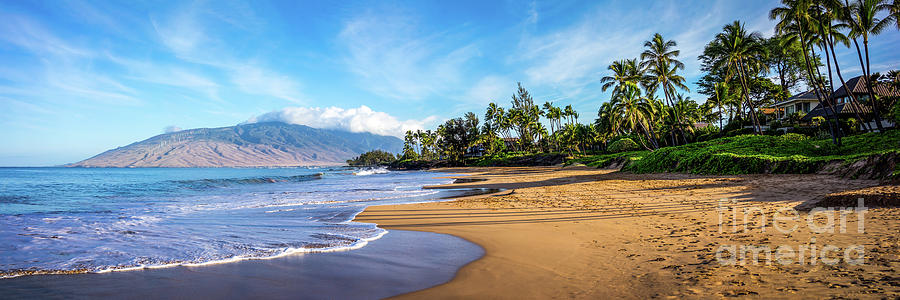 Tree Photograph - Maui Hawaii Kamaole Beach Park Panorama Photo by Paul Velgos