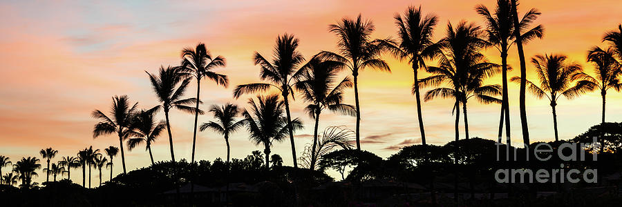 Sunset Photograph - Maui Hawaii Palm Trees Sunrise Panorama Photo by Paul Velgos
