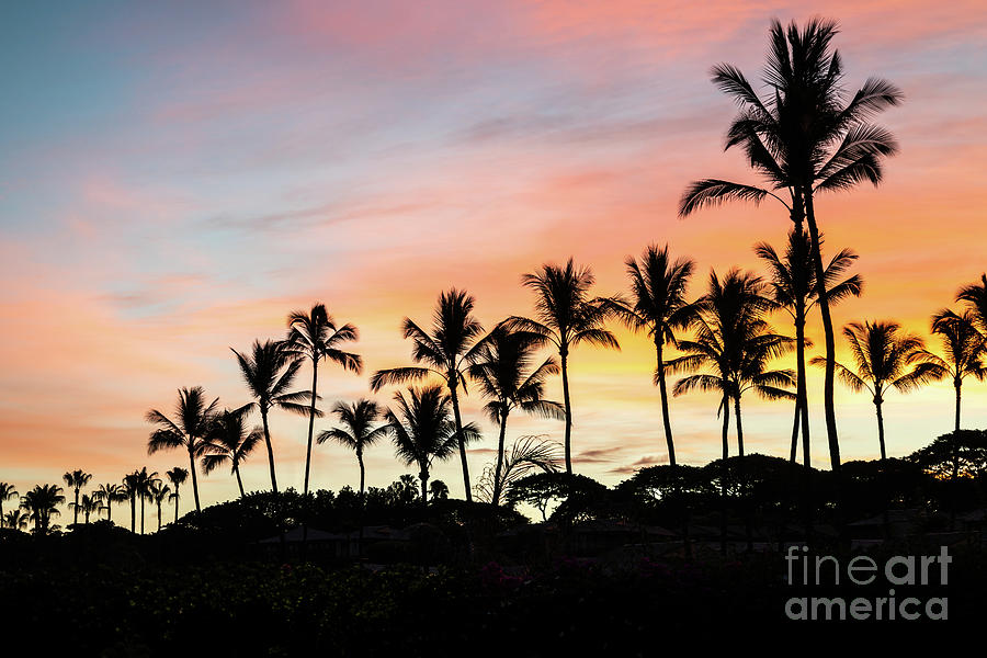 Maui Hawaii Palm Trees Sunrise Photo Photograph by Paul Velgos