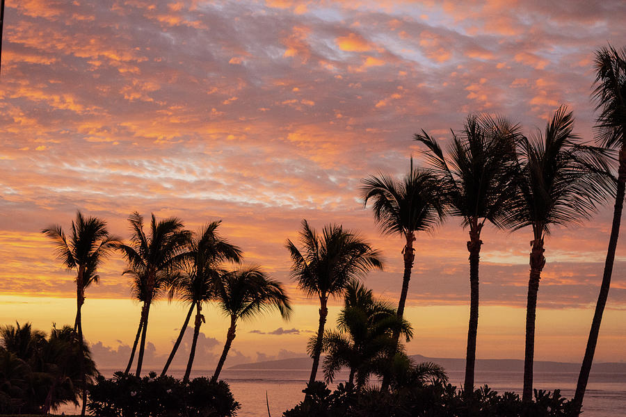 Maui Hawaii Sunrise Photograph by Thomas Anderson - Pixels