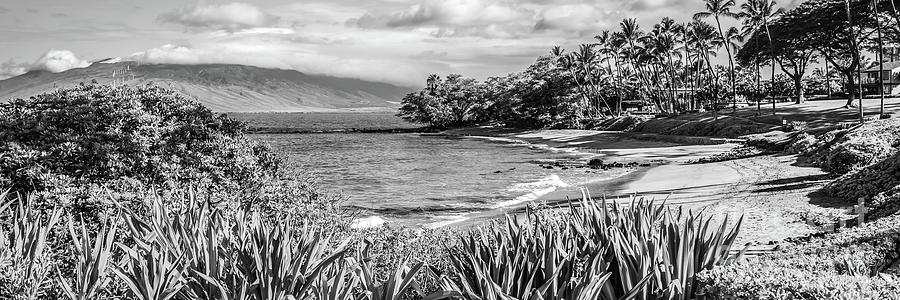 Beach Photograph - Maui Hawaii Ulua Beach Black and White Panorama Photo by Paul Velgos